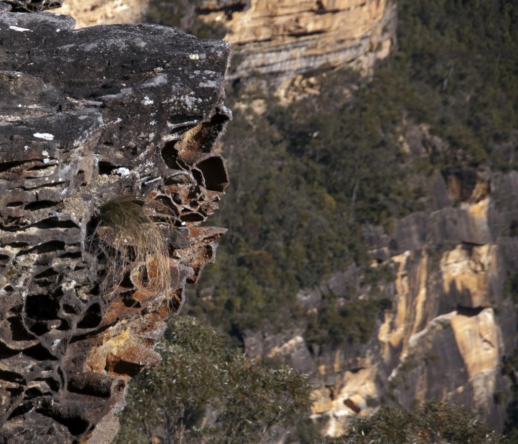 Sculpted rocks